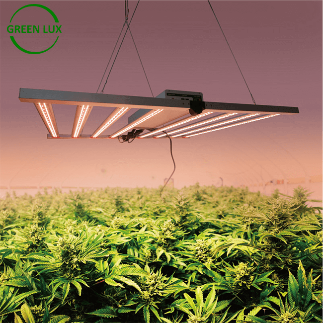 Led Grow Light Lux