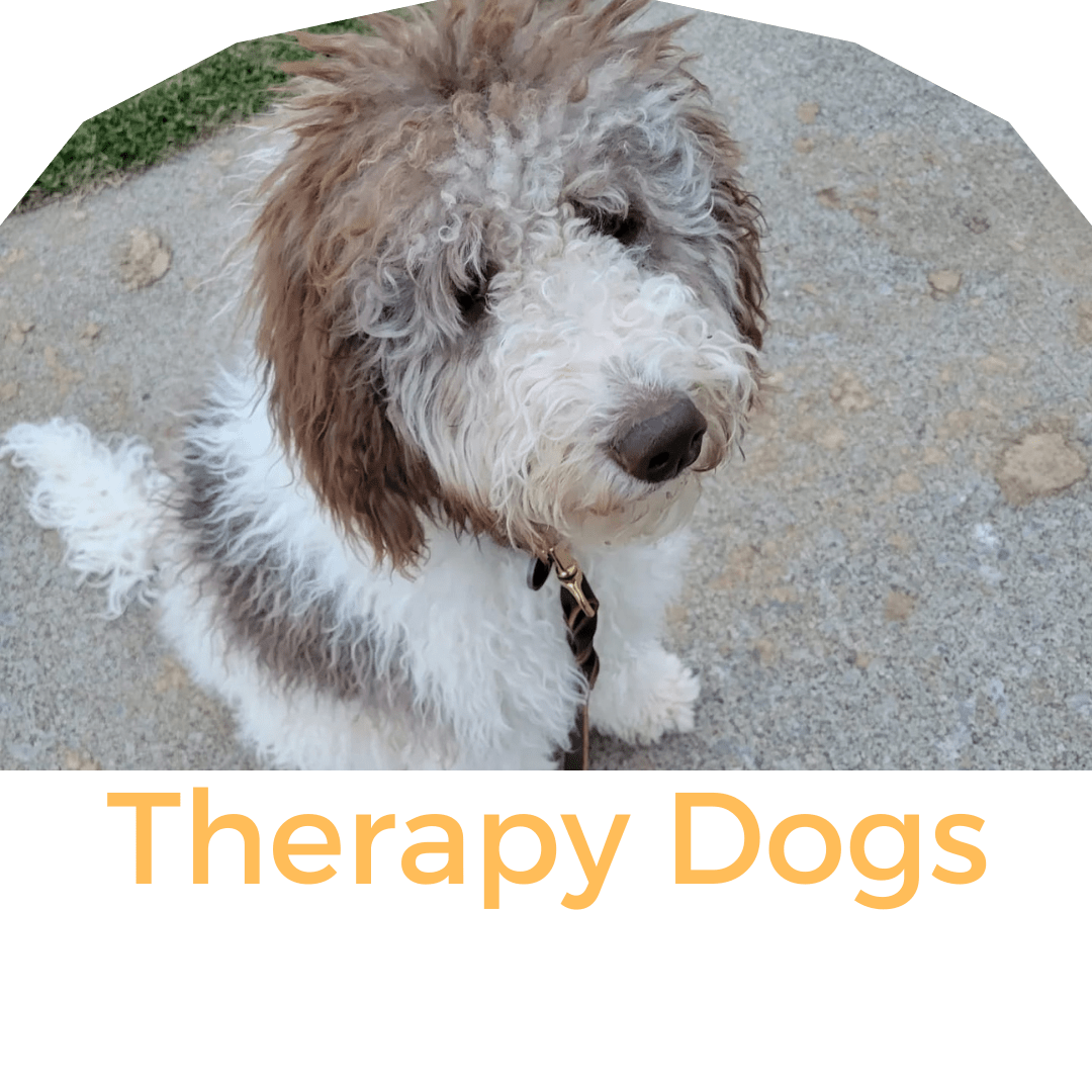 Service Dog Puppies for Sale