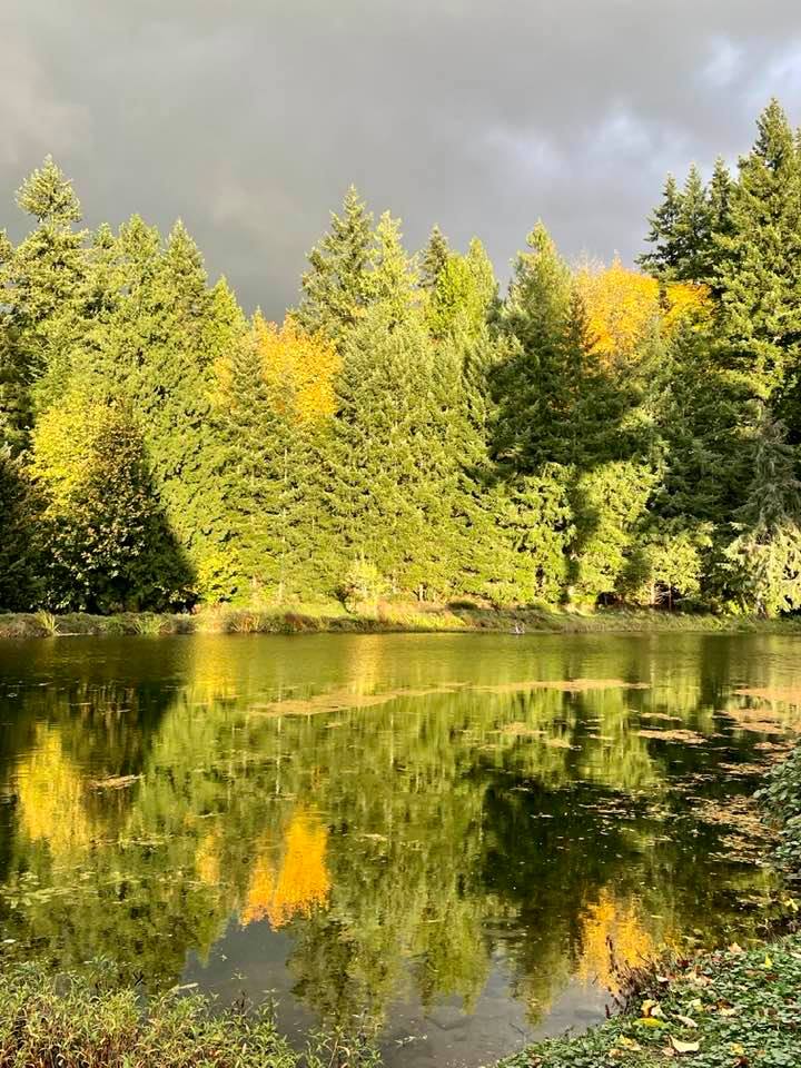 Photo Gallery of Green Acres MHP in Bothell, Washington