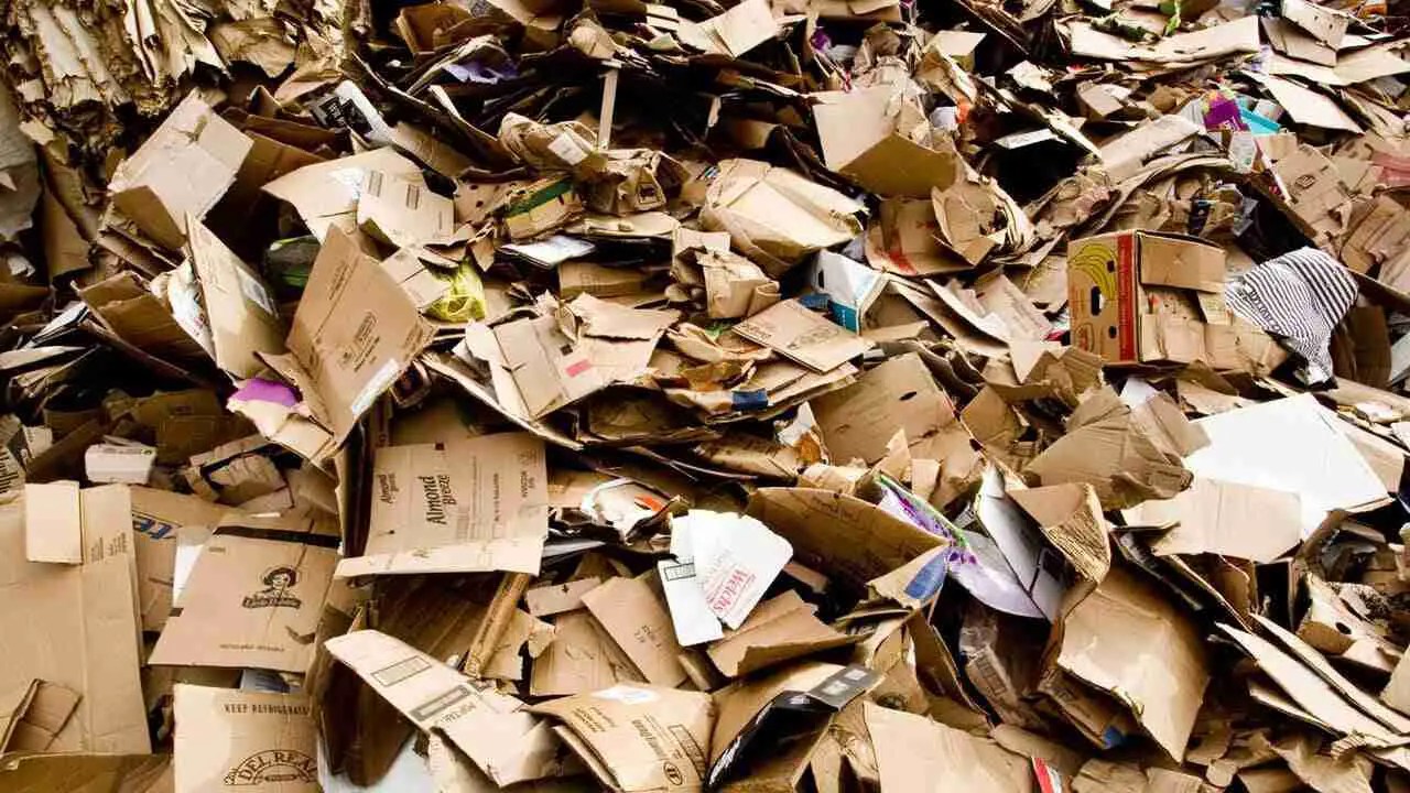 Where to Recycle Cardboard and How to 5 Best Ways