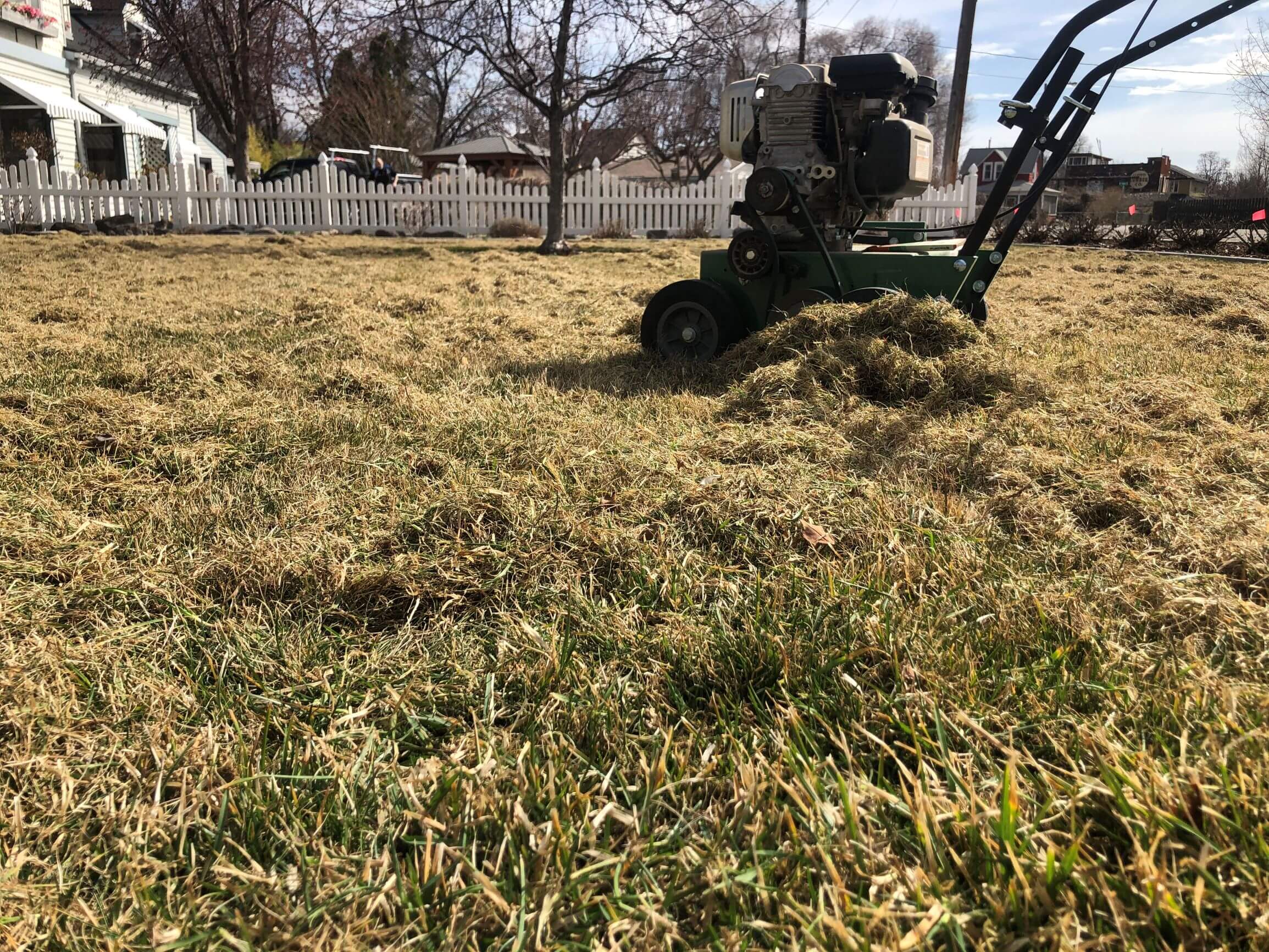 Dethatching Services Green Blades Lawn Maintenance