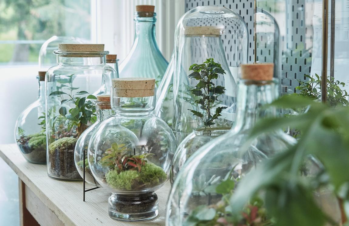 Home - Greenbubble.ch