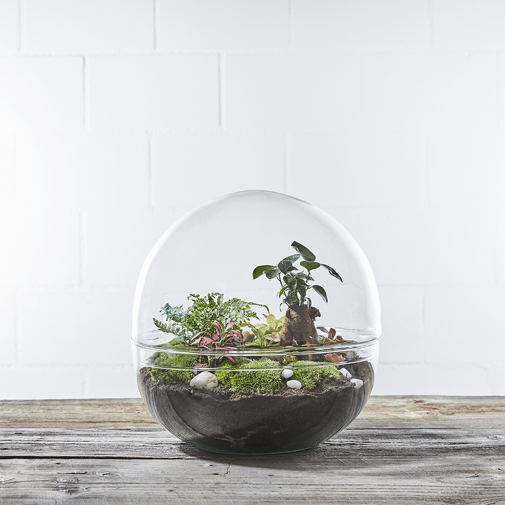 DIYKit Biosphere 3 Greenbubble.ch