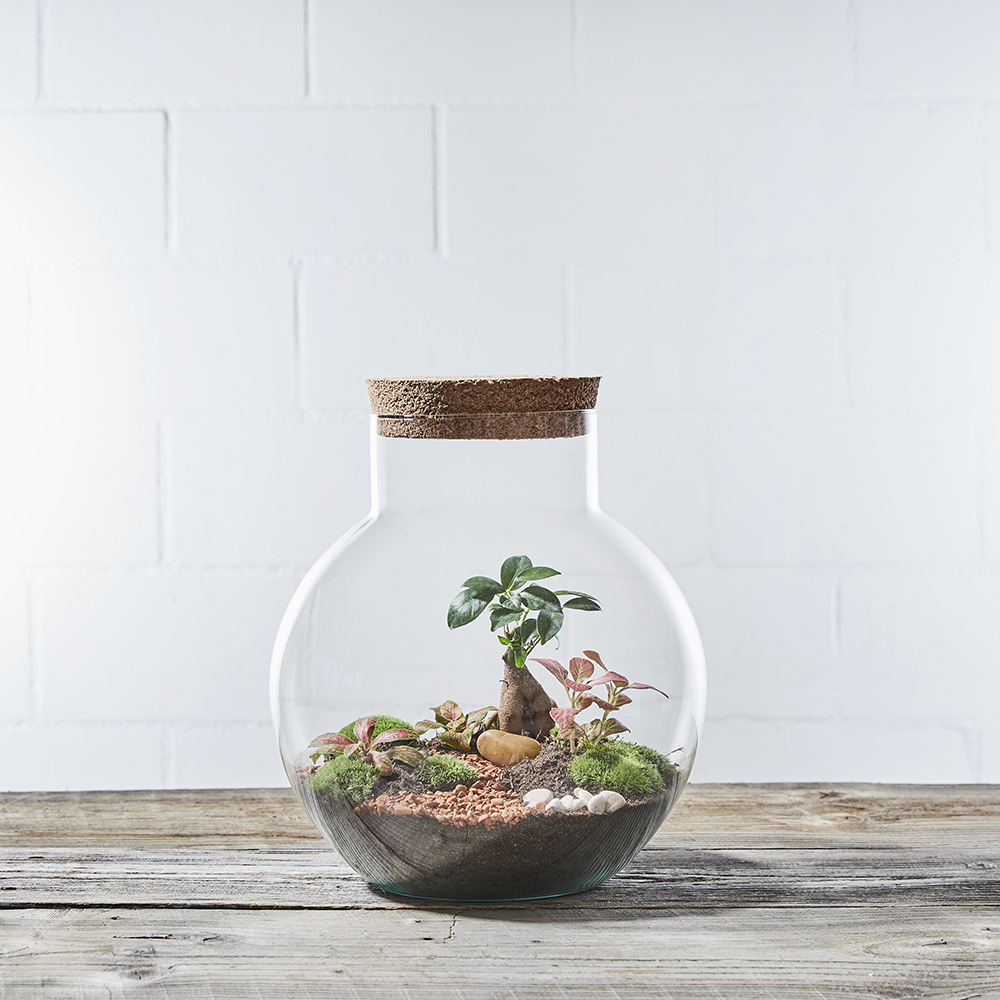 DIYKit Waimea Canyon Greenbubble.ch