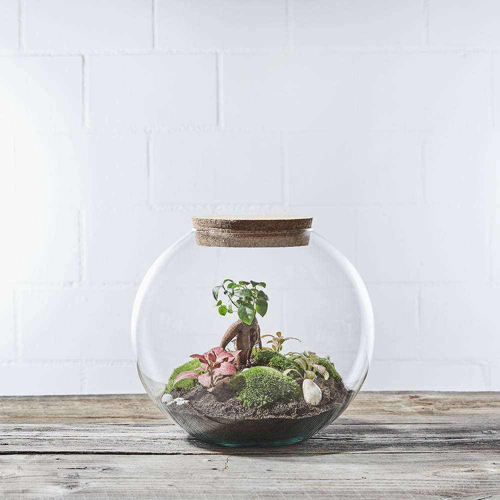 DIYKit Globe Garden Greenbubble.ch