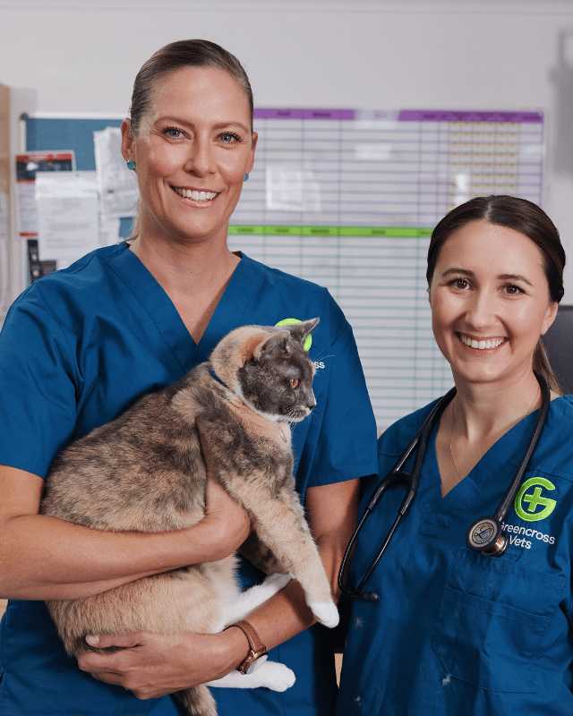 Greencross Vets Your Pets Health. Australia's Leading Veterinary Group