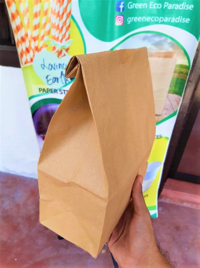 Large Paper Bag