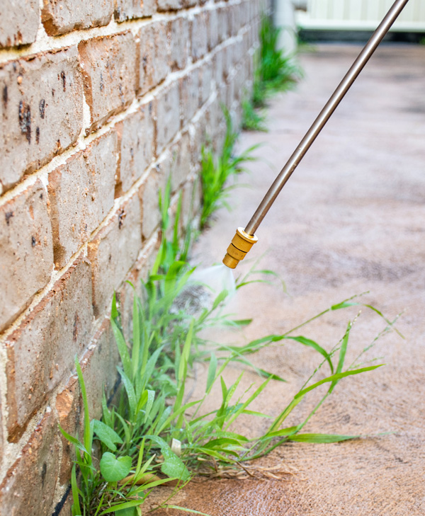 Weed Control Service Green Elements St. Louis, Missouri