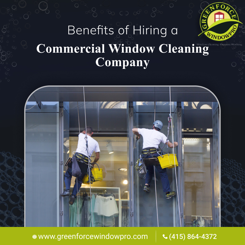 Top 5 Benefits of Hiring a Commercial Window Cleaning Company Greenforce