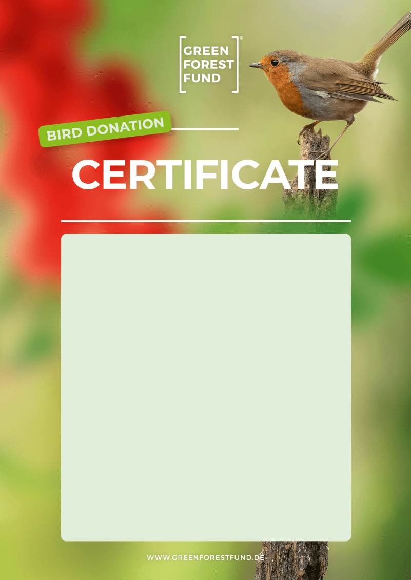 Bee donation Green Forest Fund®