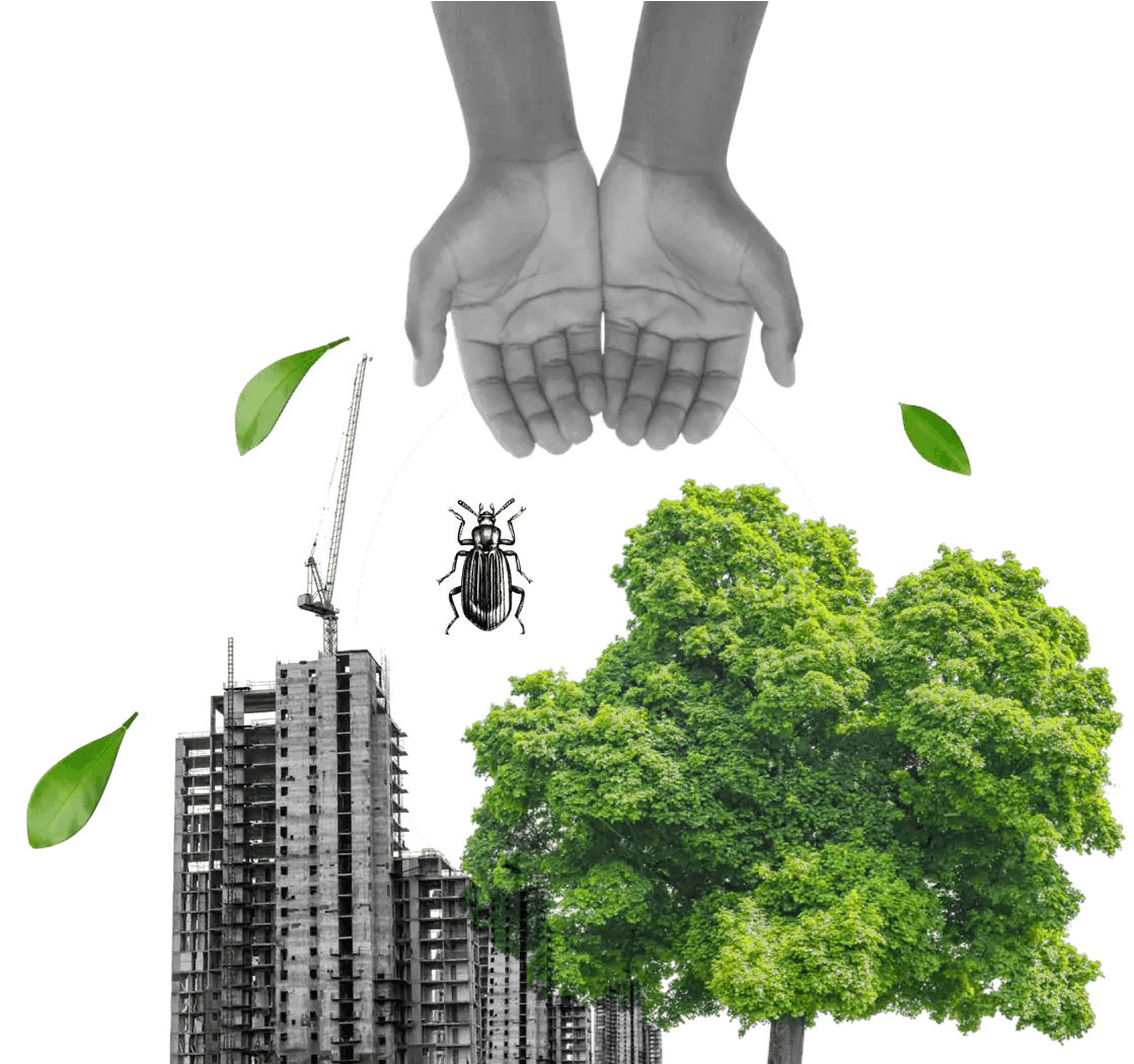 Environmental impact Greengage Environmental