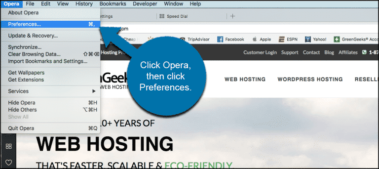 How To Activate the BuiltIn VPN in the Opera Browser GreenGeeks