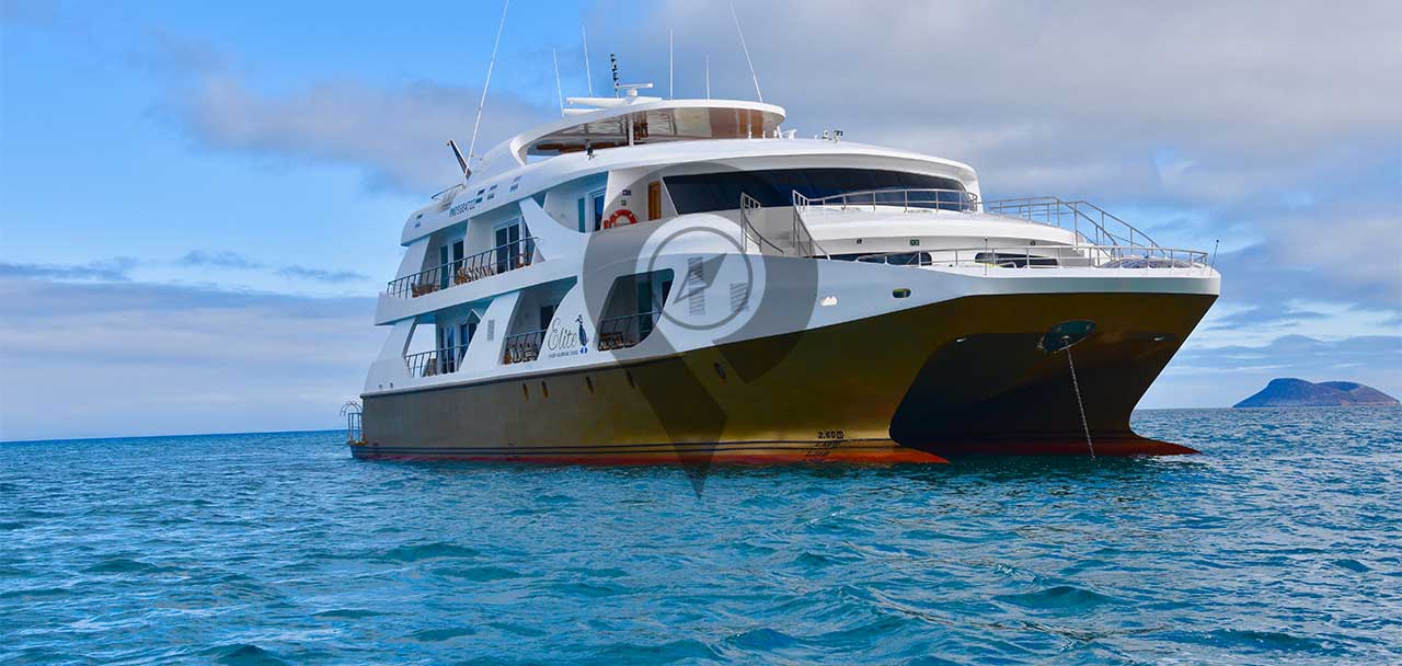 A day in the life aboard the Elite Galapagos Cruise