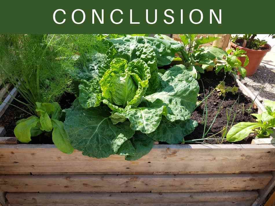 Cheapest Way to Fill Raised Beds Greenhouse Today