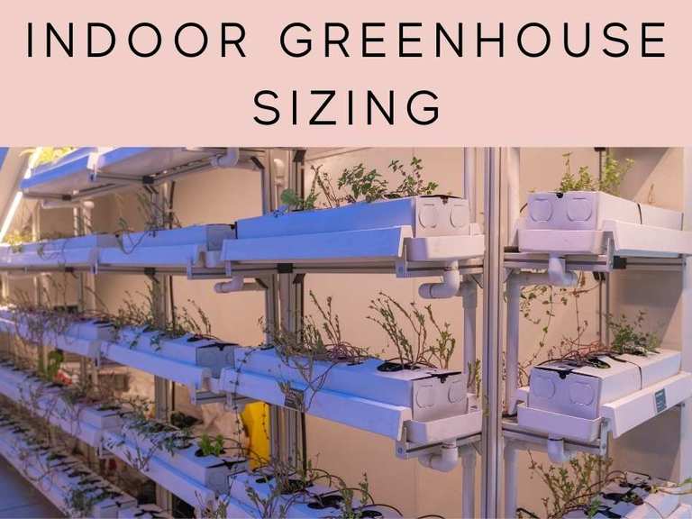 The Definitive Guide to Creating an Indoor Greenhouse Greenhouse Today