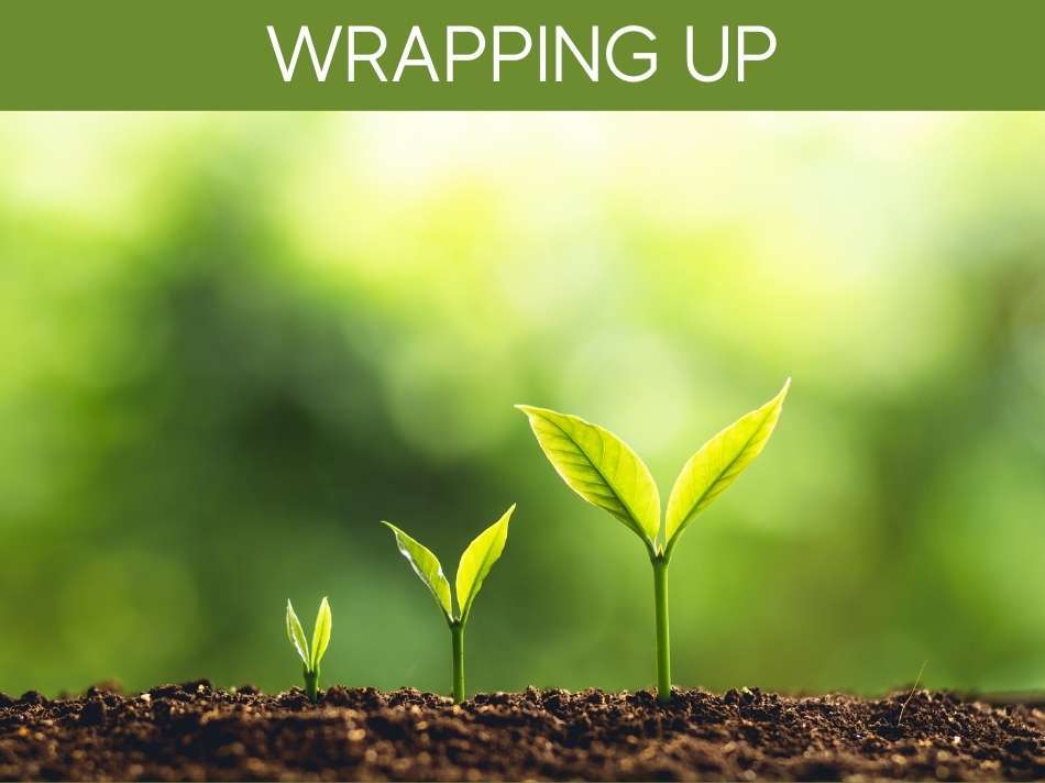 Why are My Seedlings Turning Yellow? Greenhouse Today