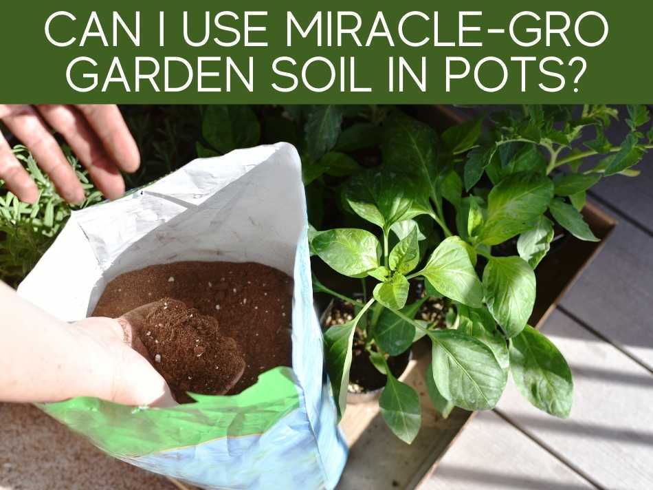 Can I Use MiracleGro Garden Soil In Pots? Greenhouse Today