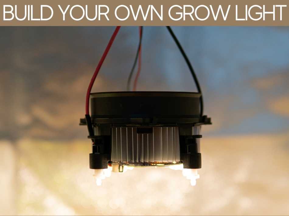 Build Your Own Grow Light Greenhouse Today