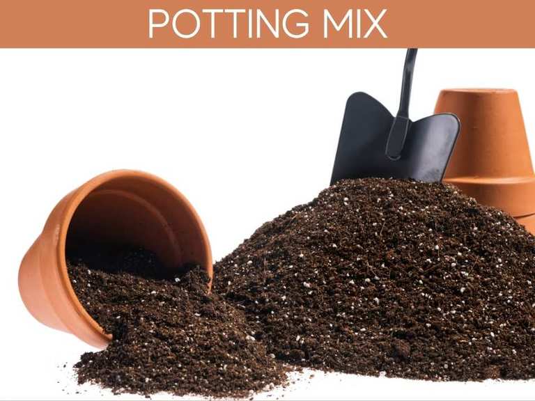 Can I Use MiracleGro Garden Soil In Pots? Greenhouse Today