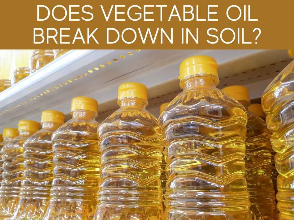 Is Cooking Oil Bad For Soil? Greenhouse Today