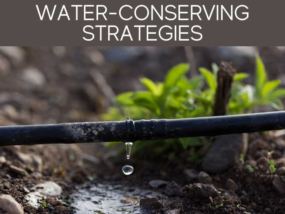 Can plants grow without water? Greenhouse Today