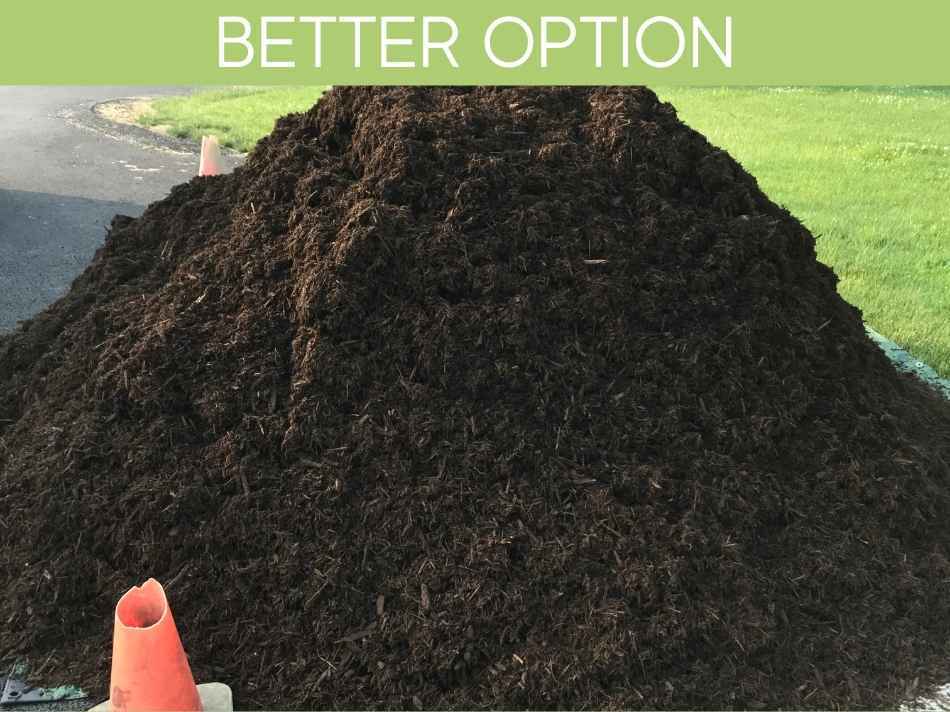 Why Does My Soil Smell? (plus 3 weird tricks to make soil smell better