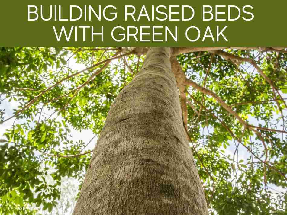 Is Oak Good for Raised Beds? Greenhouse Today