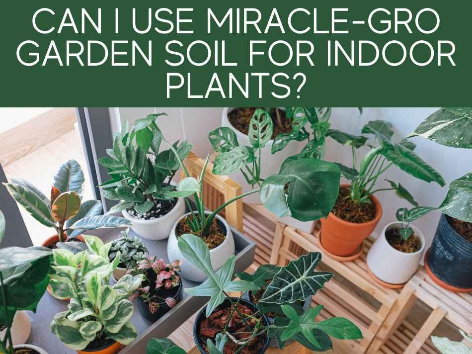 Can I Use MiracleGro Garden Soil In Pots? Greenhouse Today