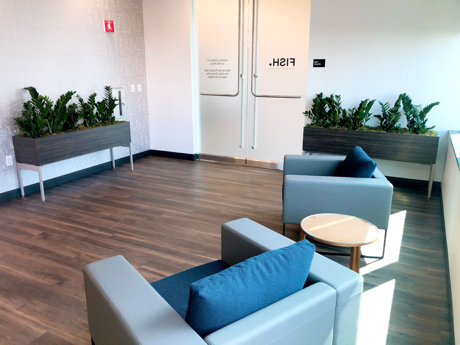 The Best Low Light Plants for your Commercial Space Greenleaf IPS