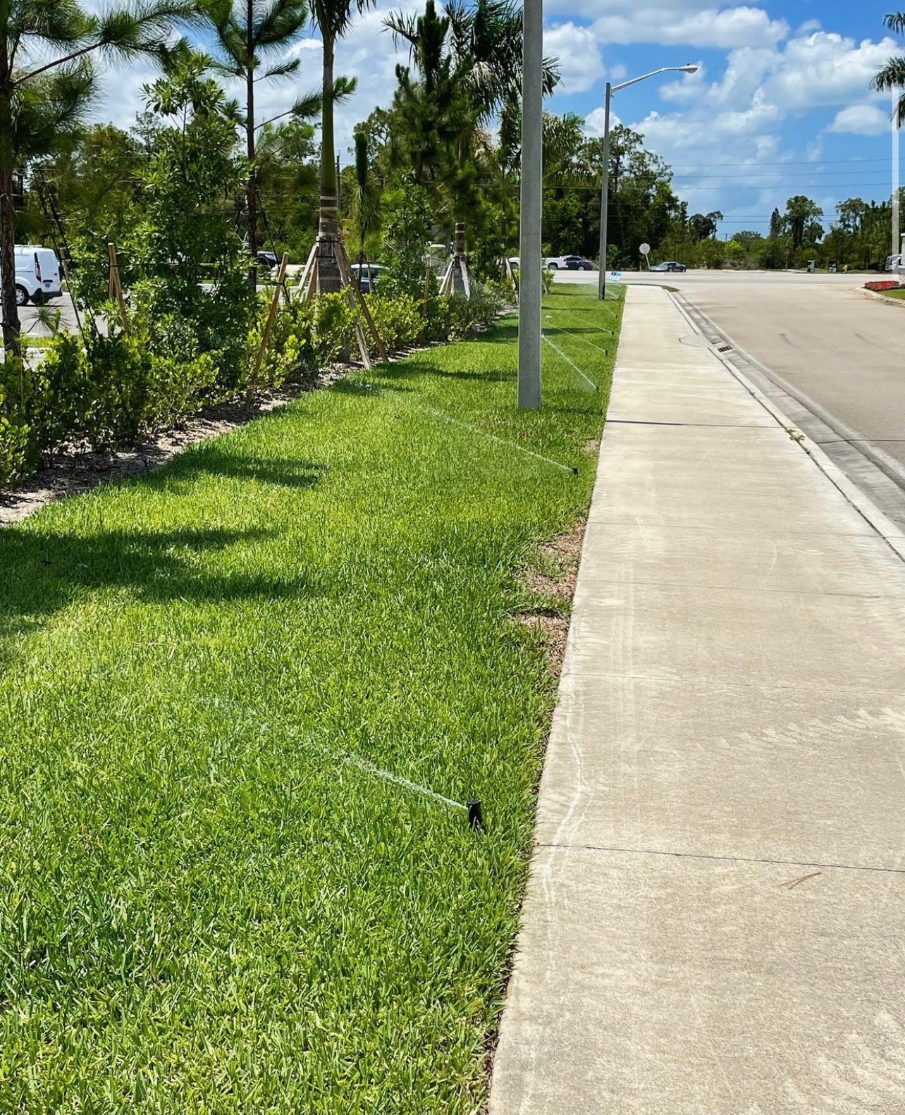 Residential & Commercial Lawn Care services Fort Myers, FL Green Leaf