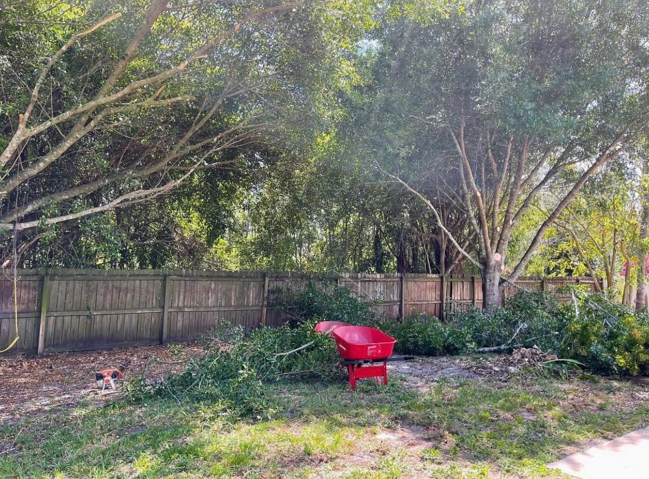 Residential & Commercial Lawn Care services Fort Myers, FL Green Leaf