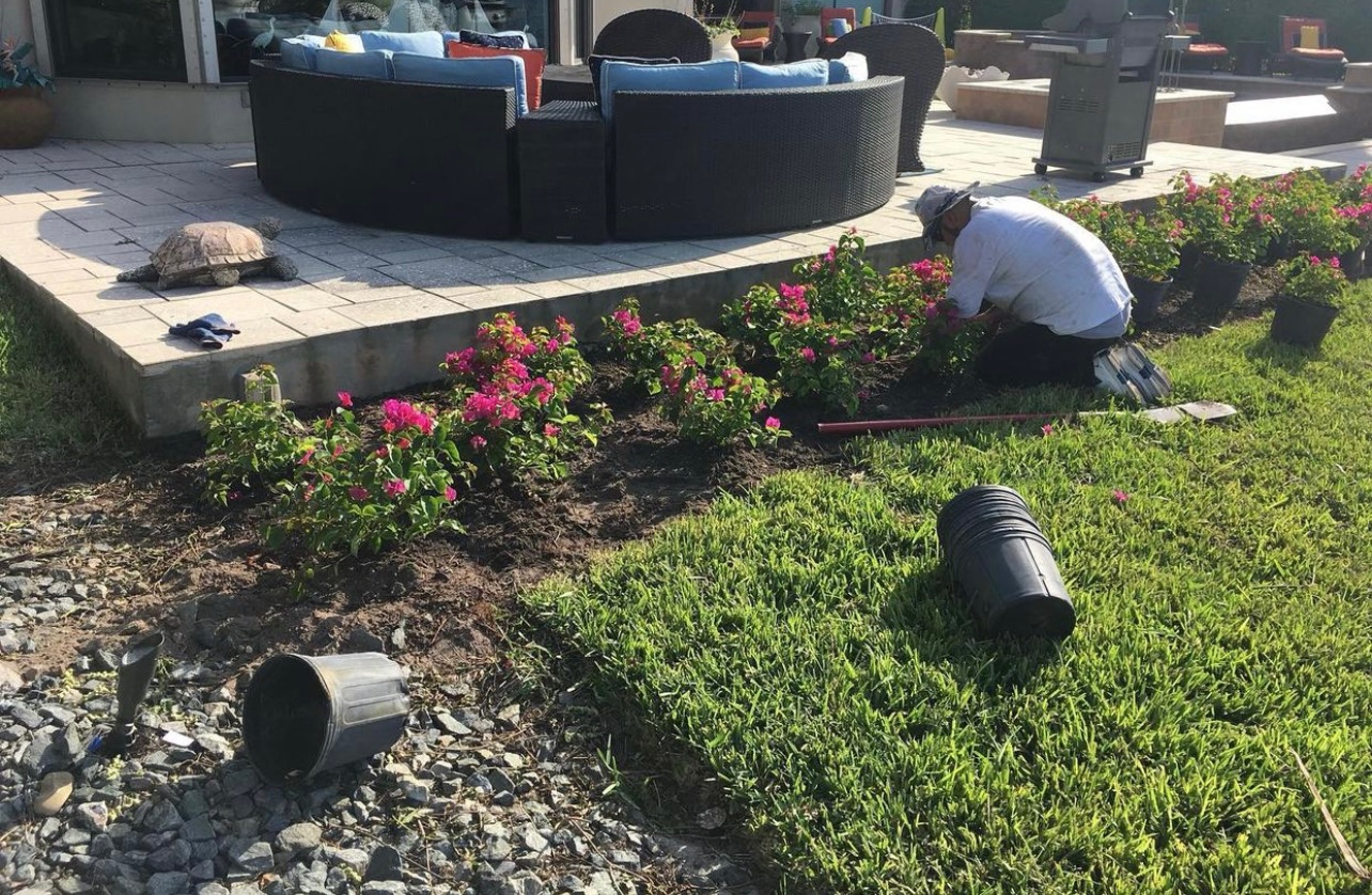 Residential & Commercial Lawn Care services Fort Myers, FL Green Leaf