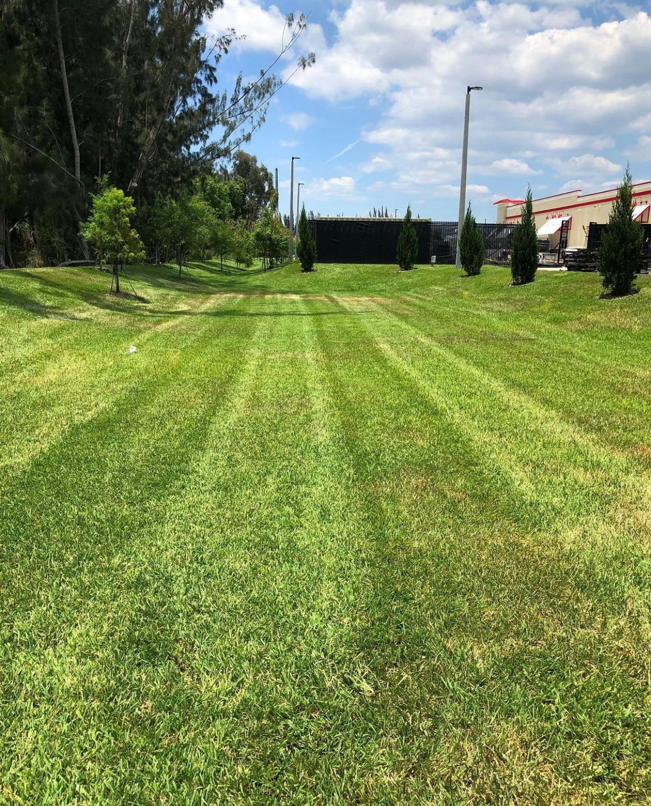 Residential & Commercial Lawn Care services Fort Myers, FL Green Leaf