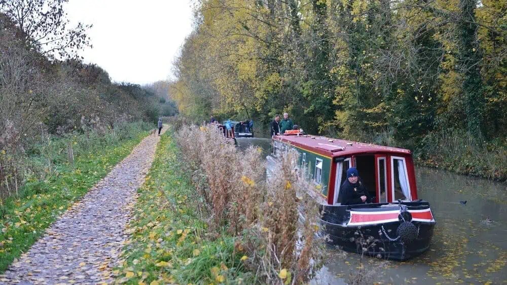 Japanese Knotweed Trowbridge Green Leaf Remediation