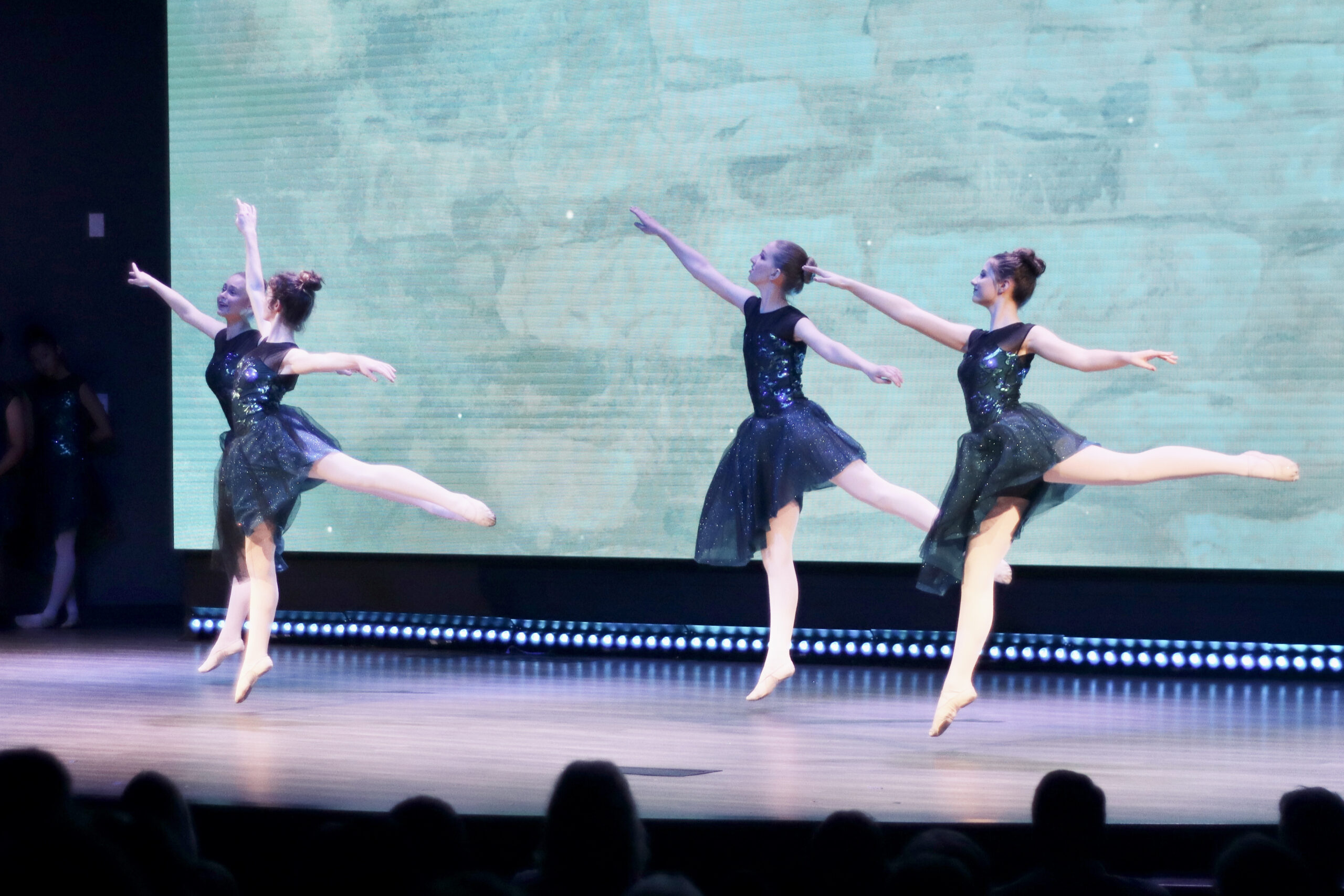 SUMMER DANCE 2024 Greenleaf Performing Arts