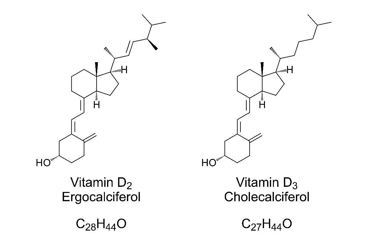Vitamina D conosci la differenza tra D2 e D3? Solo una migliora le