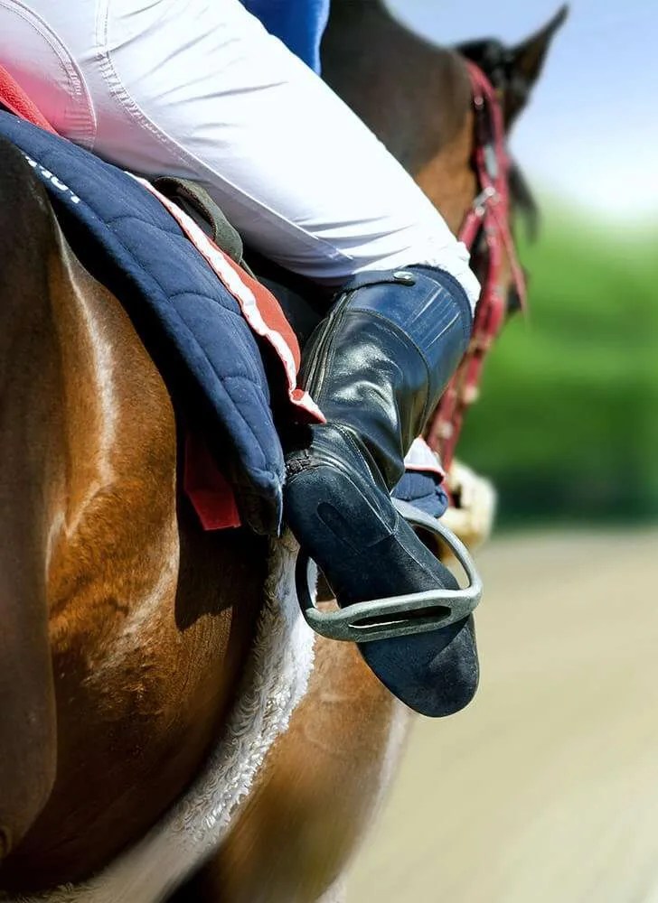 Cardboard Horse Bedding Greenmile Bedding