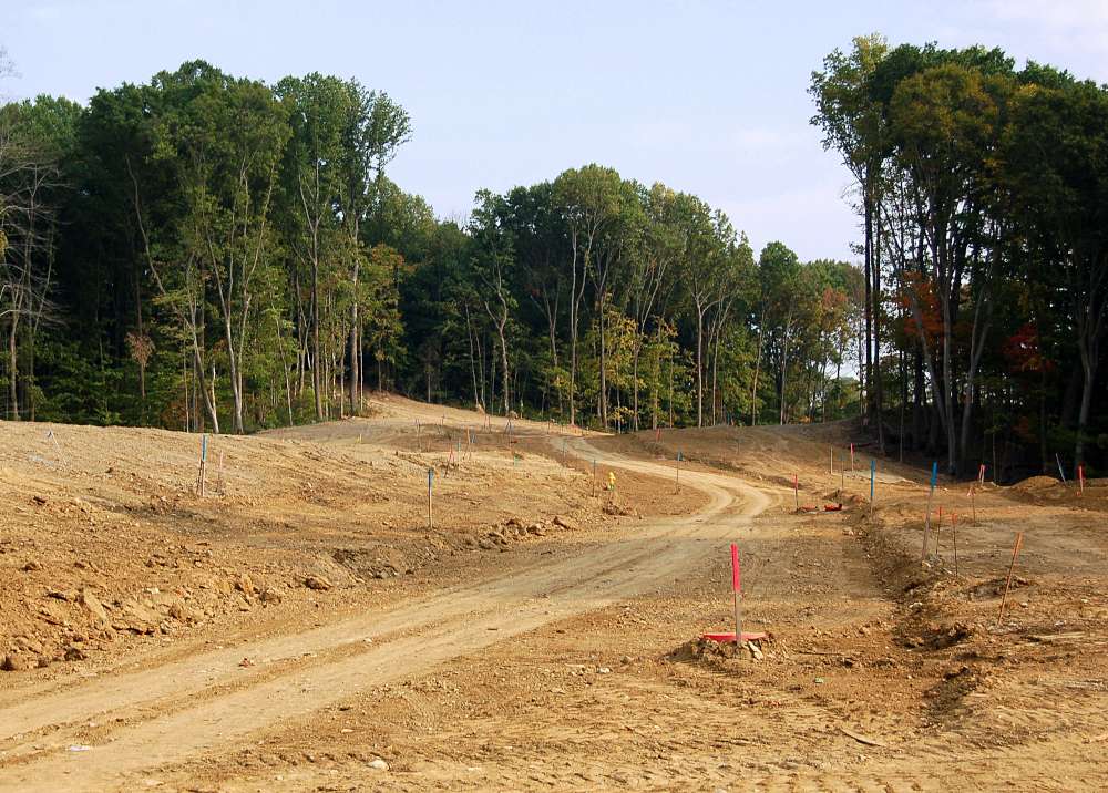 Landscaping Clayton NC JoCo & Wake County