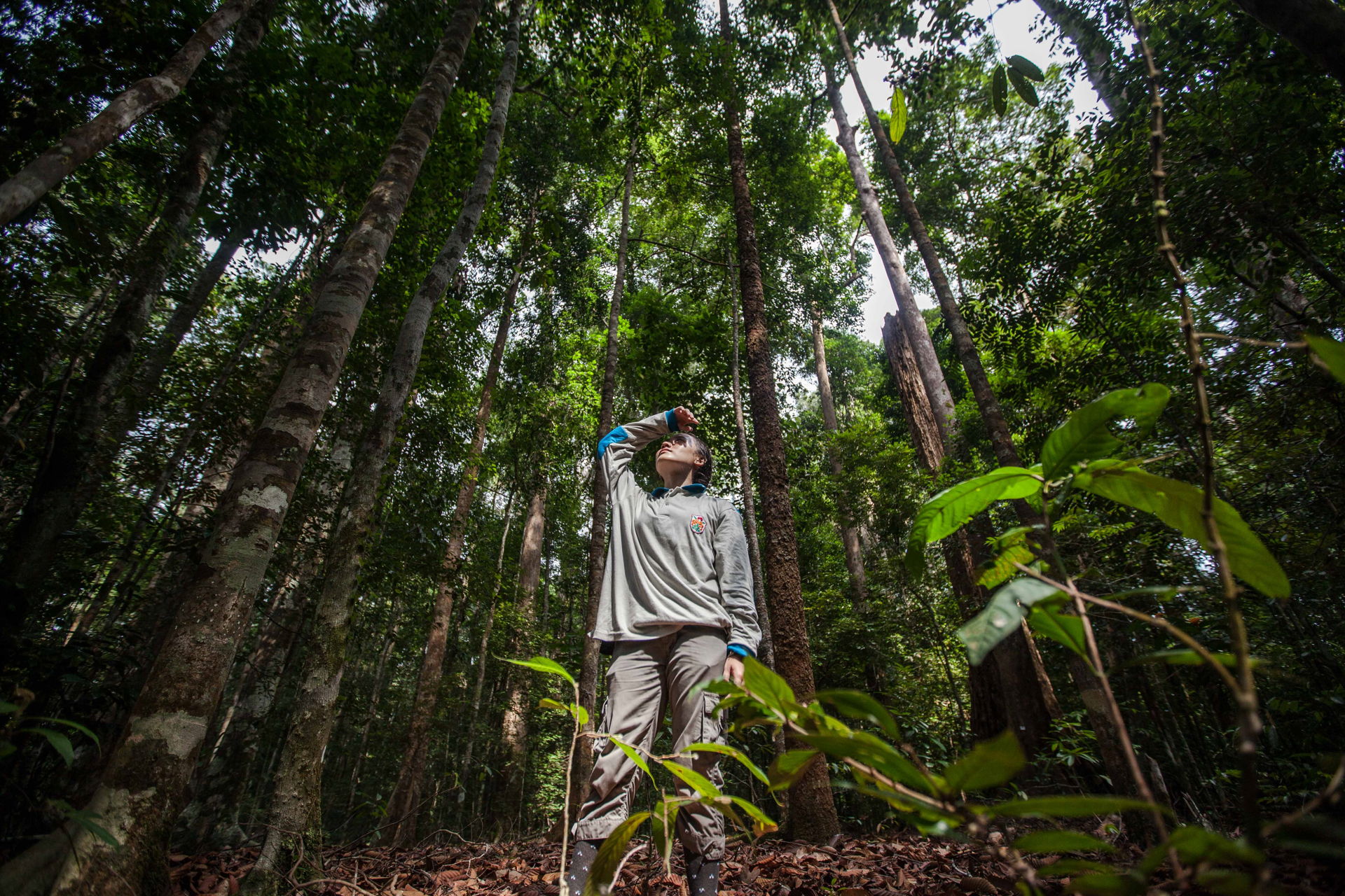 Search and find the perfect home, property investment or commercial property or speak to us today. 5個救火的印尼青少年：守護雨林! - Greenpeace 綠色和平 | 香港