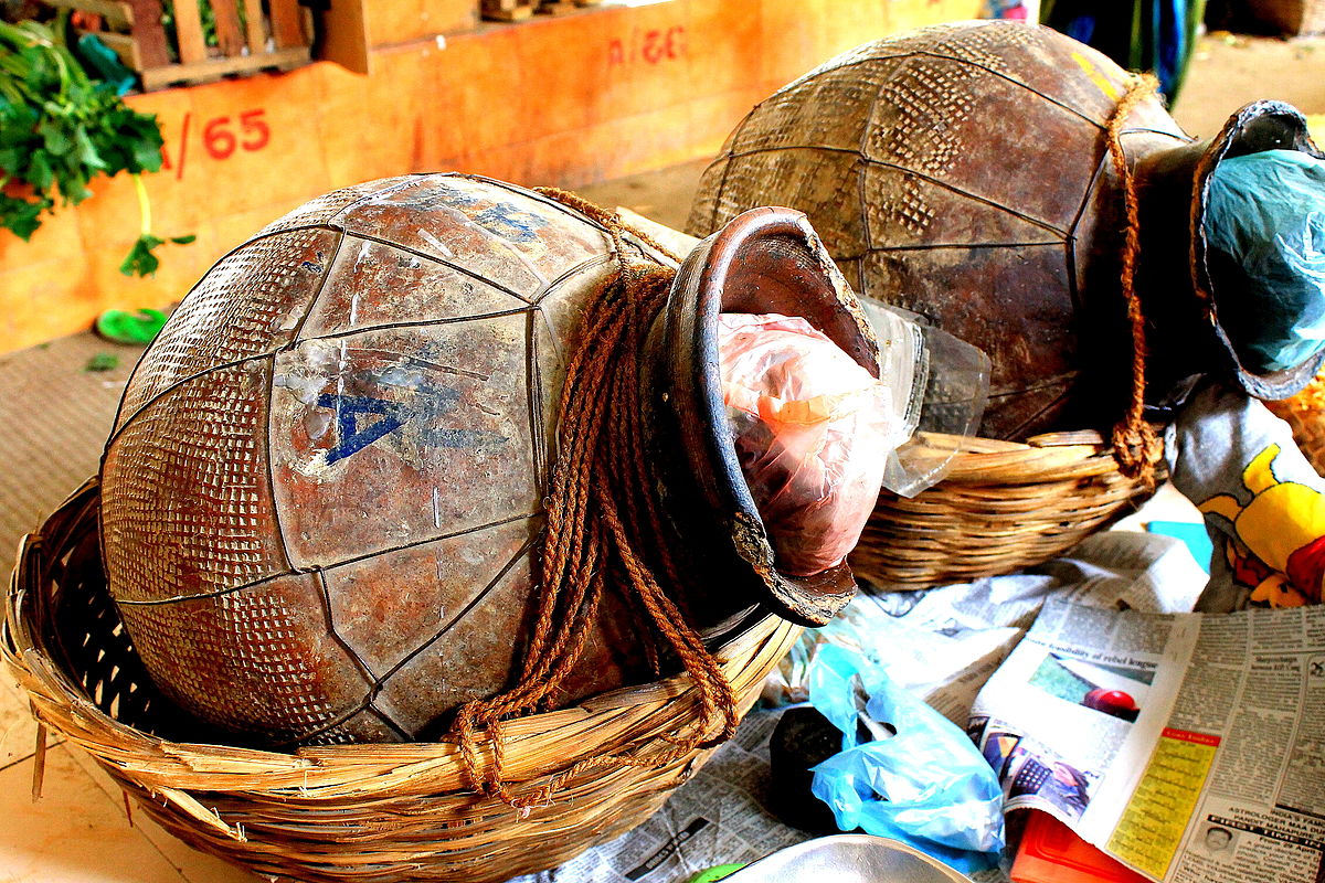 Fermenting fish to reduce cholesterol Green Prophet