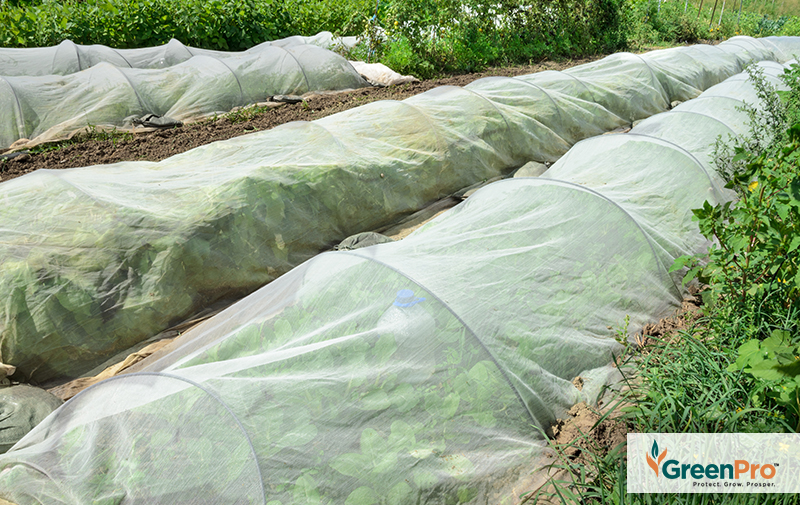 The Right Insect Net Can Help Boost Yield GreenPro