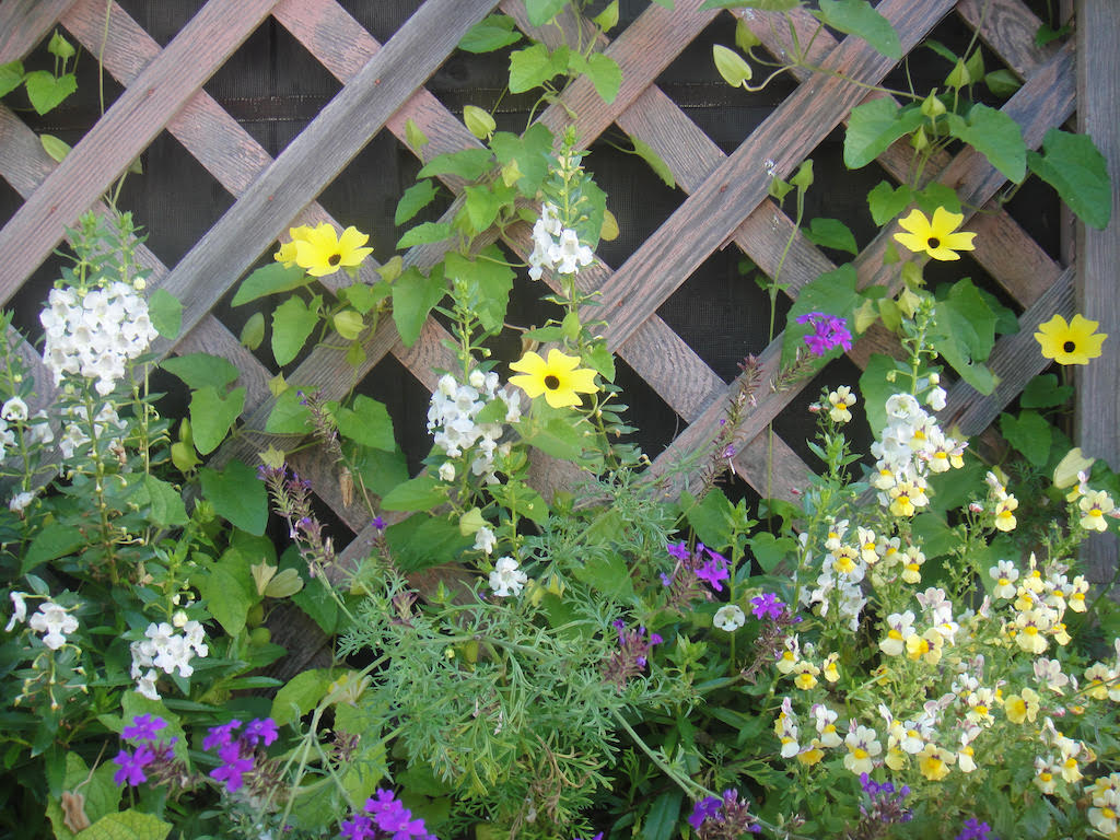 Startup Funding But Not As You Know It How The Trellis Road Micro Fund