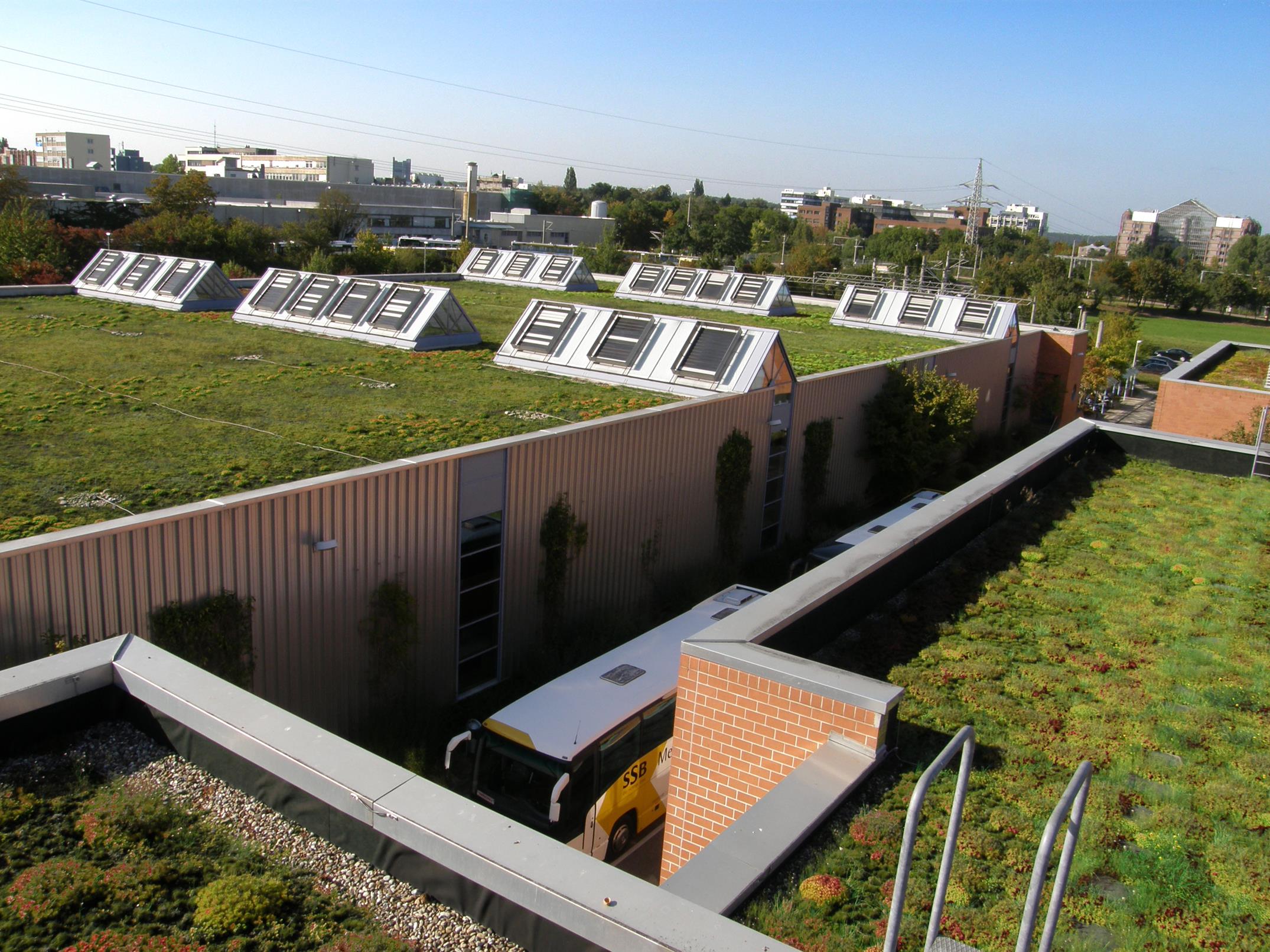 Green Roof Technology
