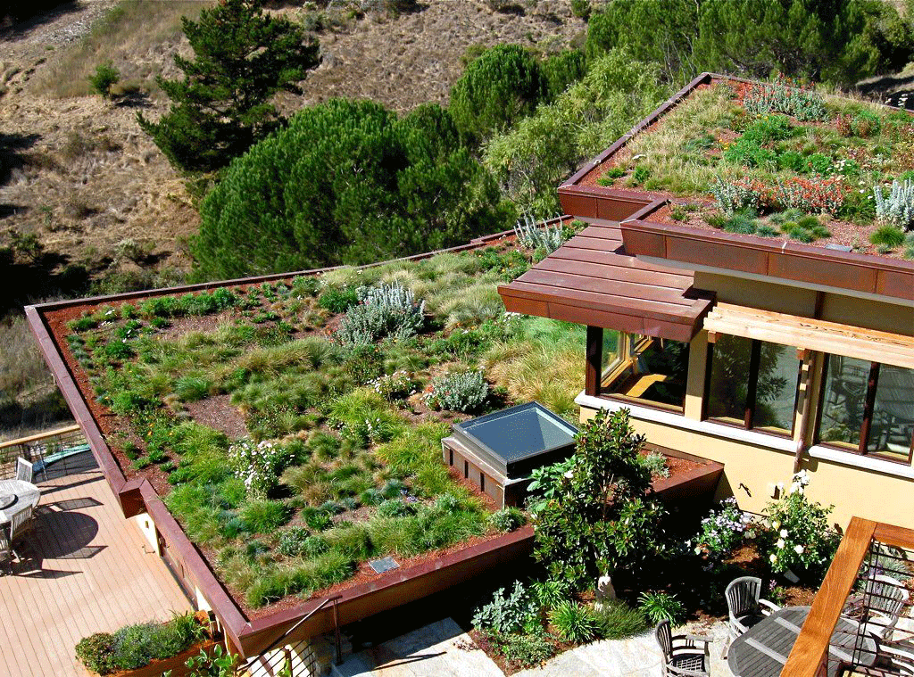 Mill Valley Hillside
