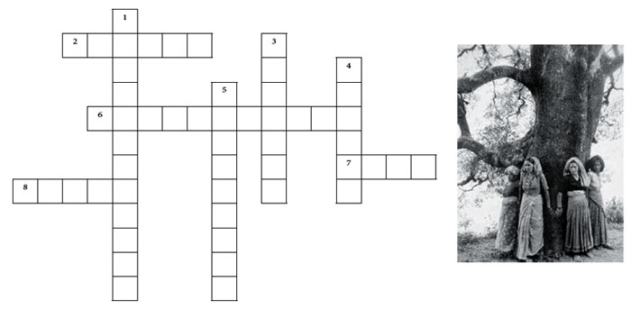Scribble & Nibble CRACK THE CROSSWORD Green Schools Programme