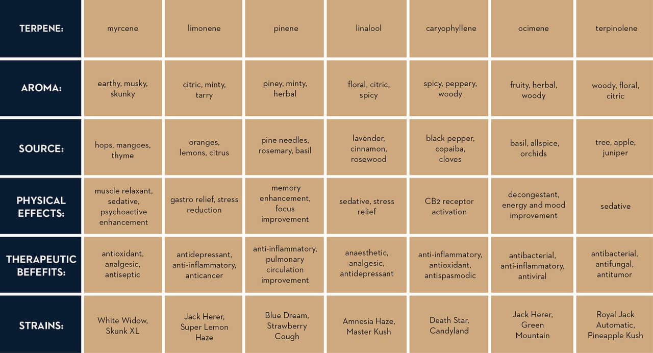 Terpenes Explained: Cannabis 101 - Greentank