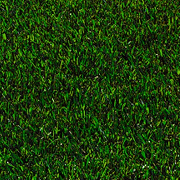 One Sq. Foot of Marathon™ II Sod Green Thumb Nursery