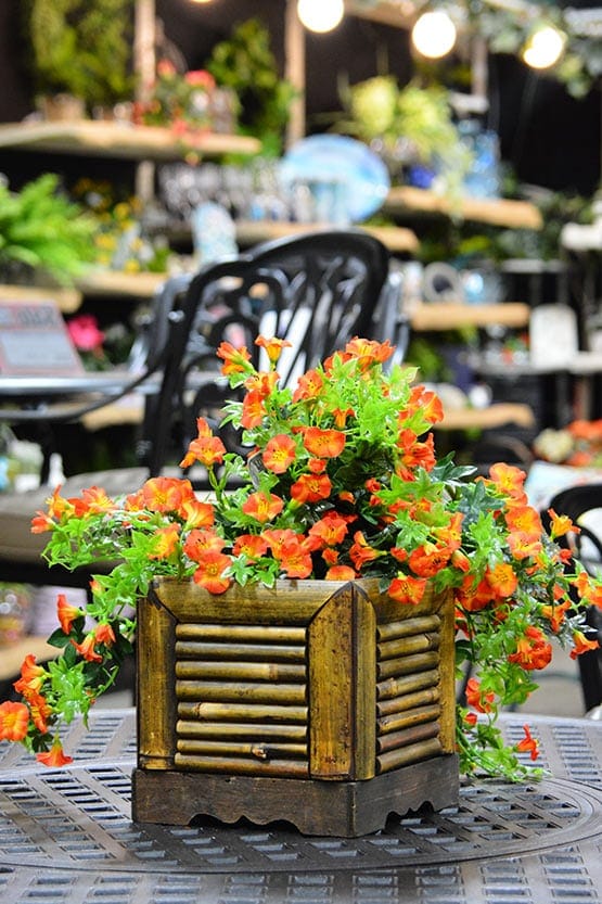 Green Thumb Nursery Southern California Garden Centers