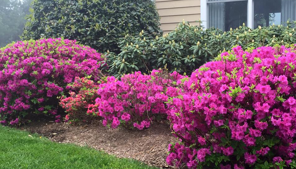 Home GreenTop Lawn & Landscaping