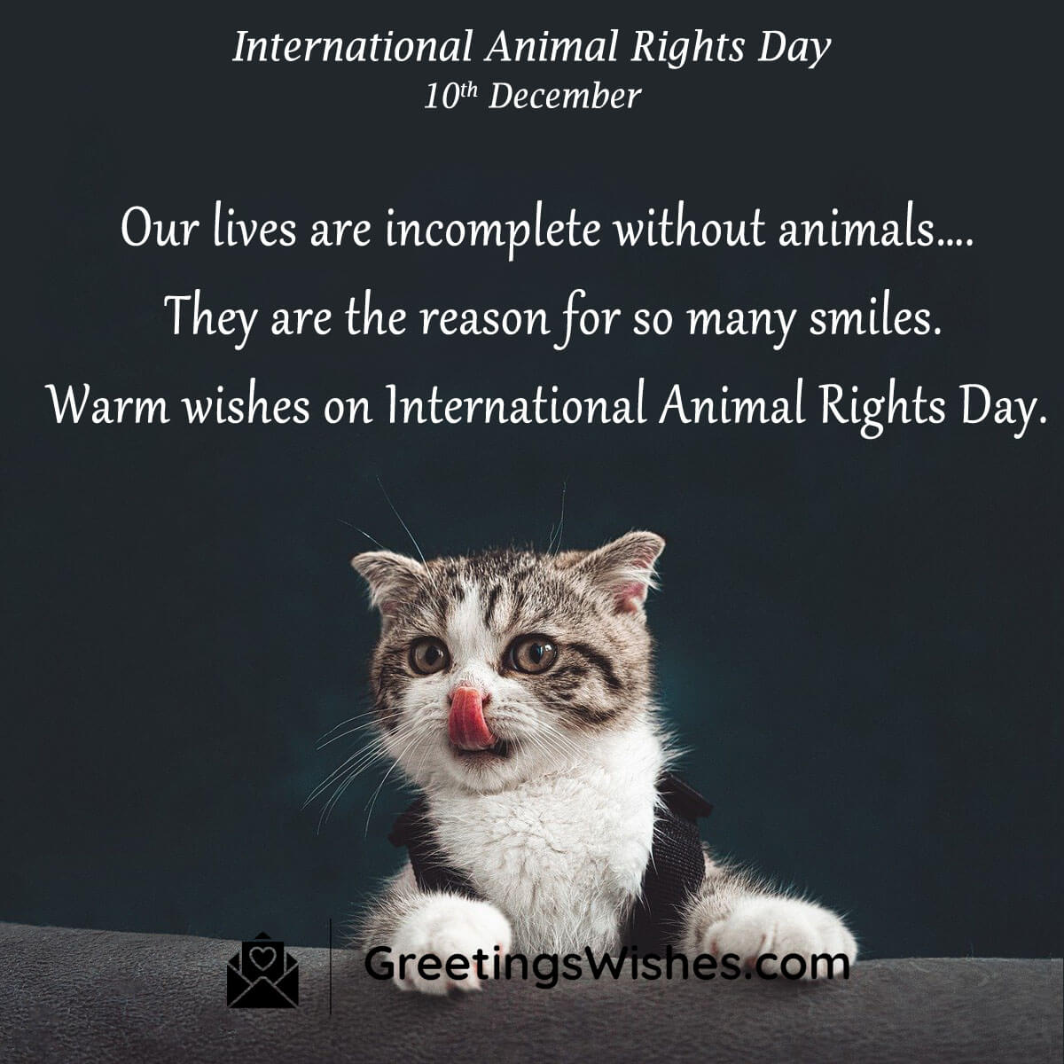 International Animal Rights Day (10 January) Greetings Wishes